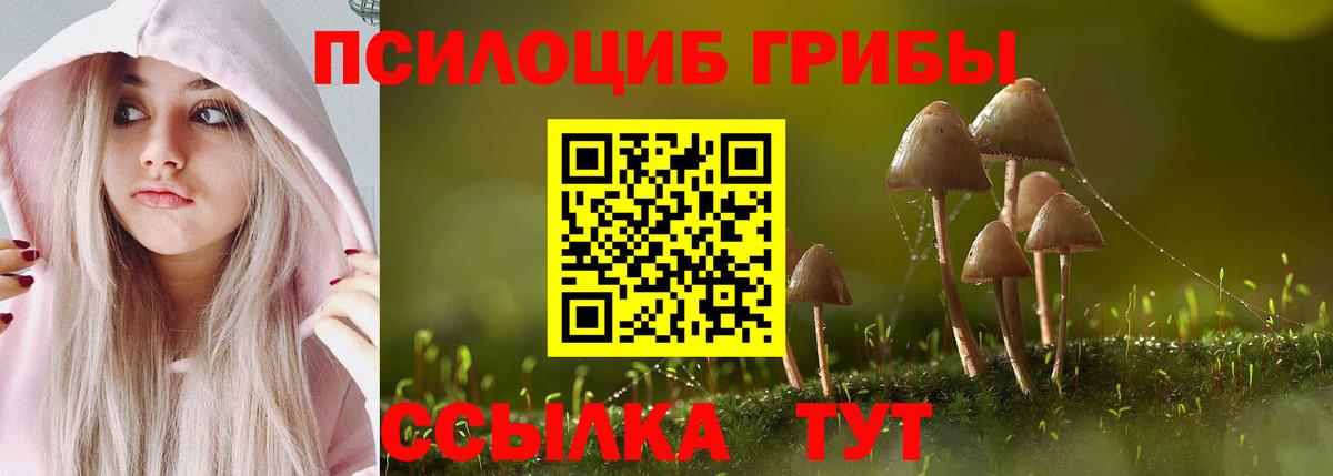 Псилоцибиновые грибы MAGIC MUSHROOMS Дербент